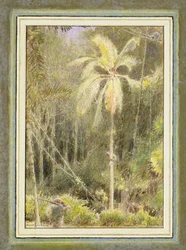Robinson Crusoé